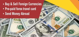 Read more about the article Hassle-Free Currency Exchange Services in Delhi, Gurgaon, Dwarka, Rohini & Janakpuri – WPFFOREX.COM